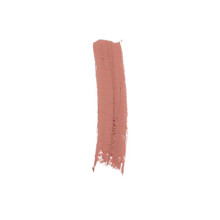 Matte Temptation Lipstick in 101 Honestly